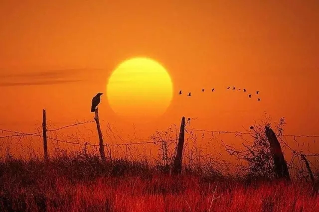 中庭人的一天！