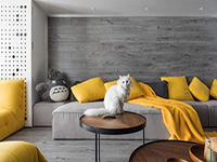 純干貨！家里有寵物的十個(gè)裝飾小建議